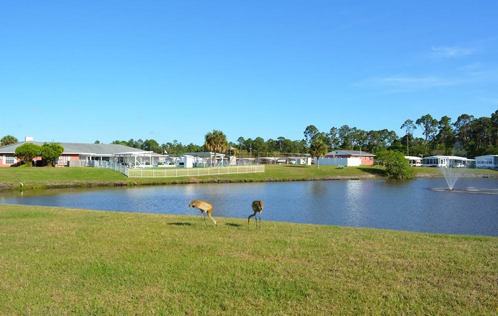 57 Freedom Dr - Photo 6 of 14