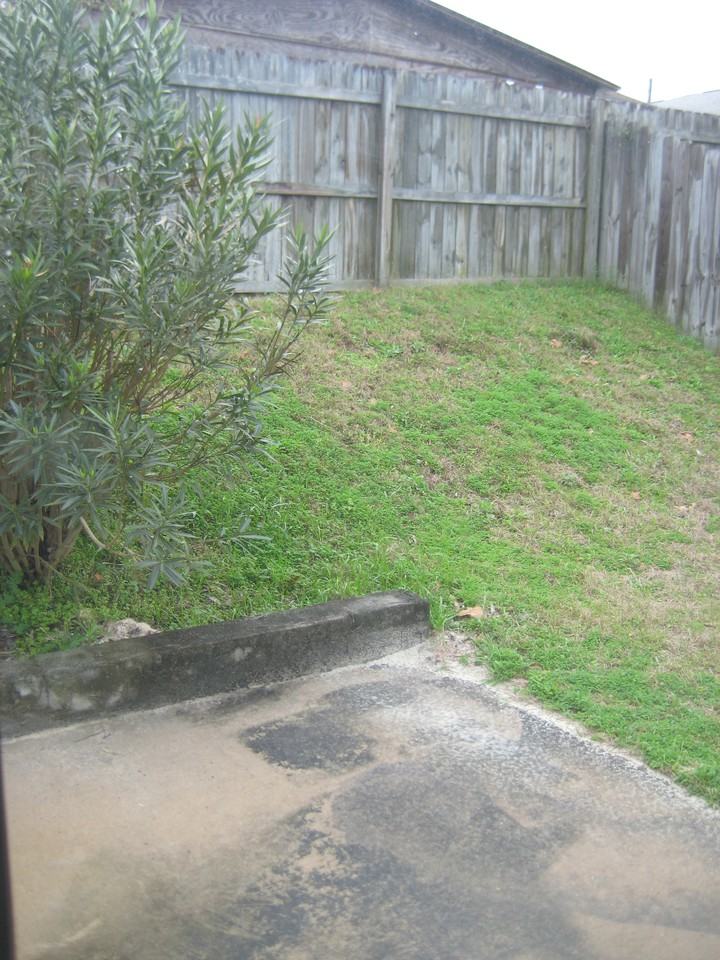 338 Apple Dr - Photo 3 of 19