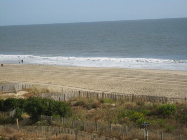 9800 Coastal Hwy #301 - Photo 2 of 32