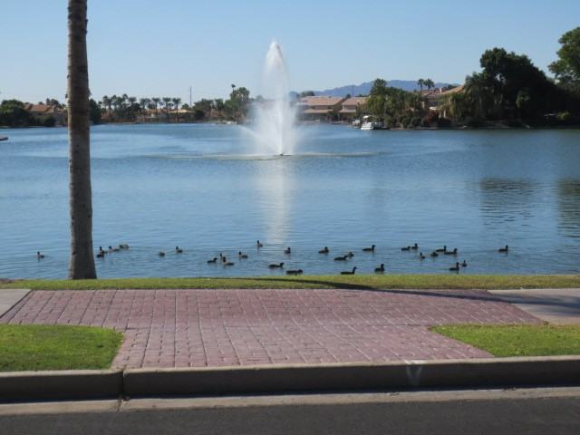 3830 E Lakewood Pkwy E #2084 - Photo 4 of 48