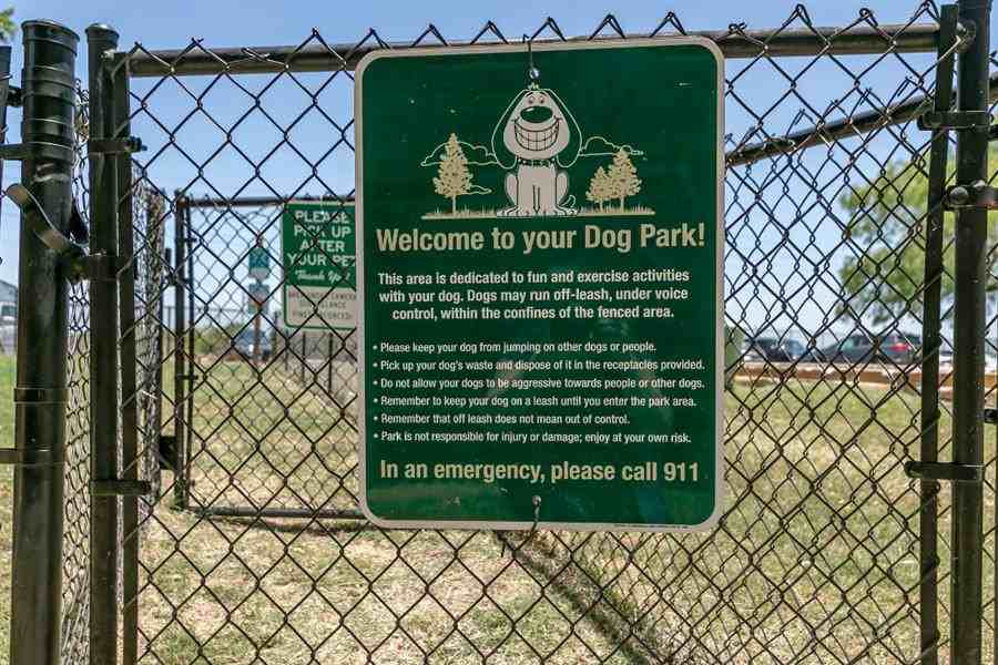 City-Base Vista - Photo 3 of 20