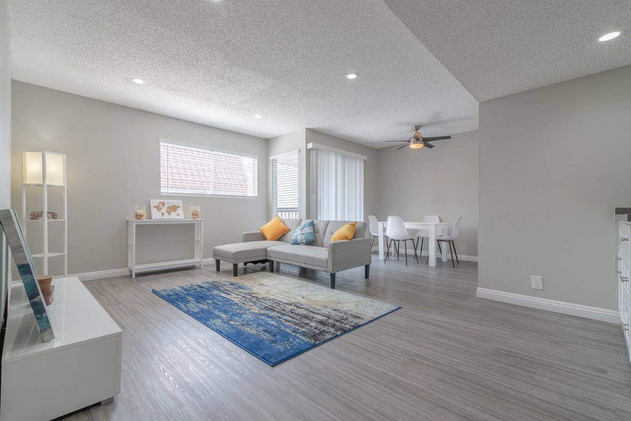 The Modern Cactus - Photo 4 of 44