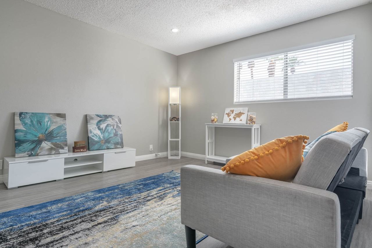 The Modern Cactus - Photo 6 of 44