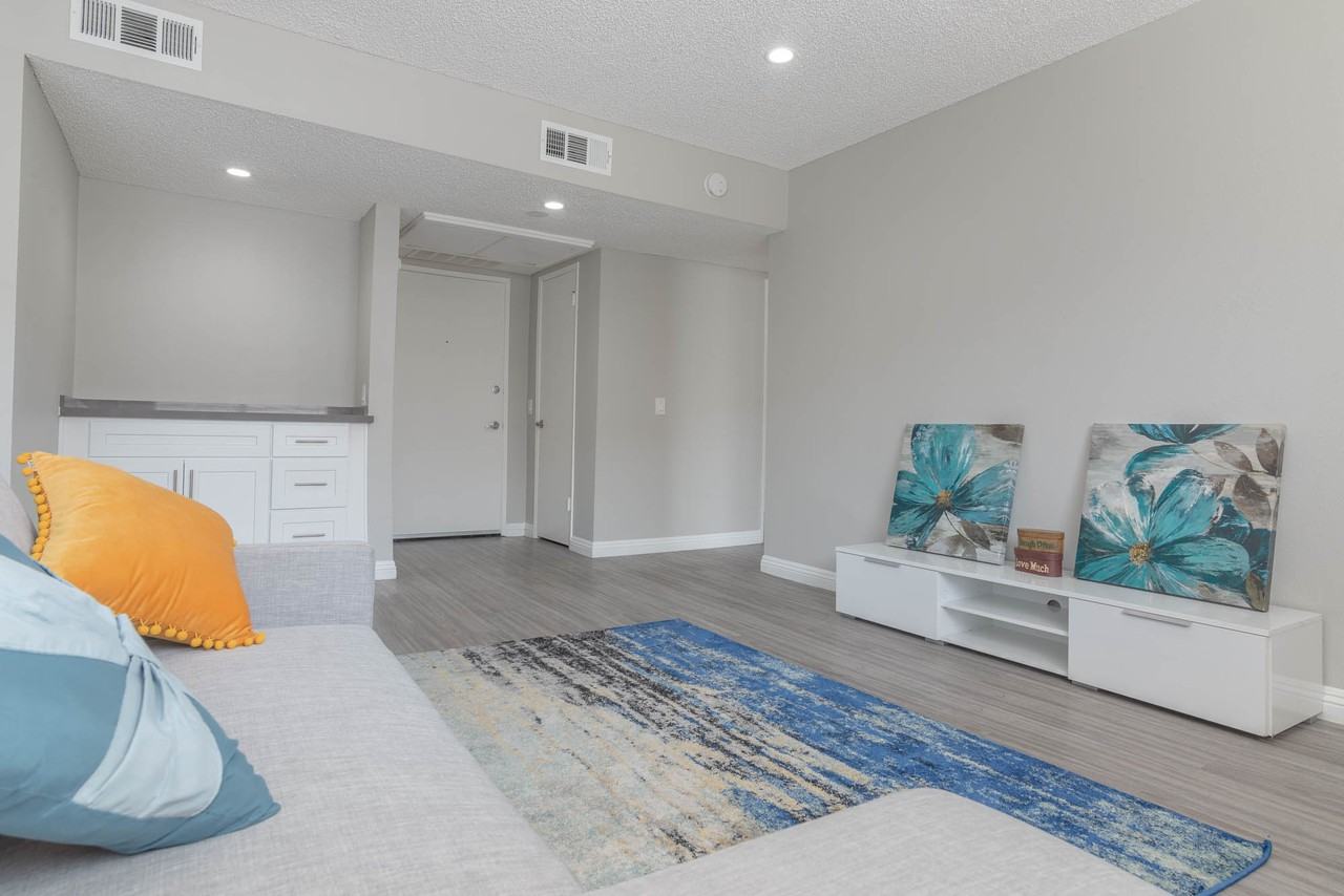 The Modern Cactus - Photo 7 of 44