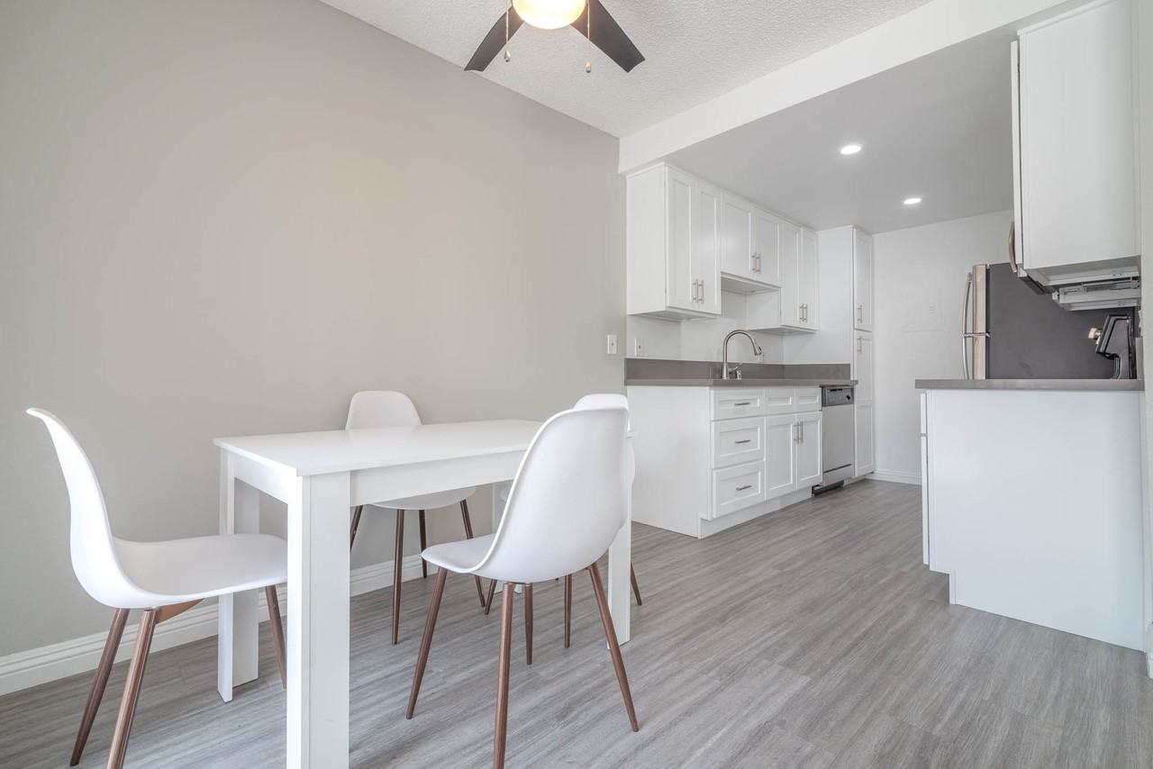 The Modern Cactus - Photo 5 of 44