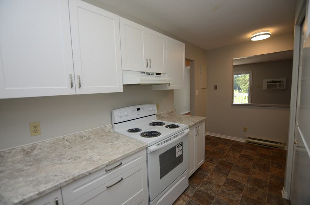 331 Pine Hill Road #203 - Photo 3 of 8