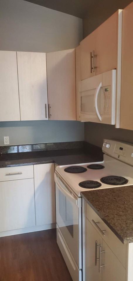 441 Marion Street - Photo 2 of 6