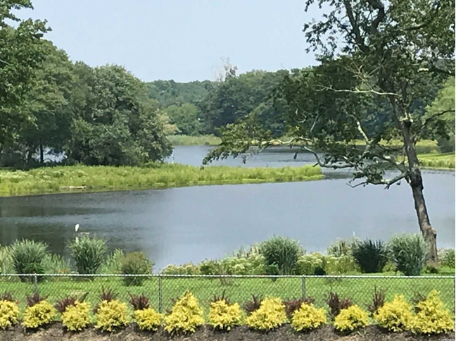 Artist Lake Drive - Photo 3 of 13