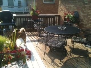 1102 NE 68th Terrace - Photo 3 of 28