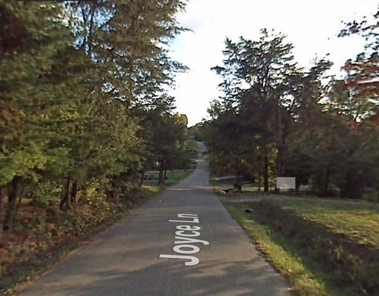 107 Joyce Ln - Photo 3 of 24