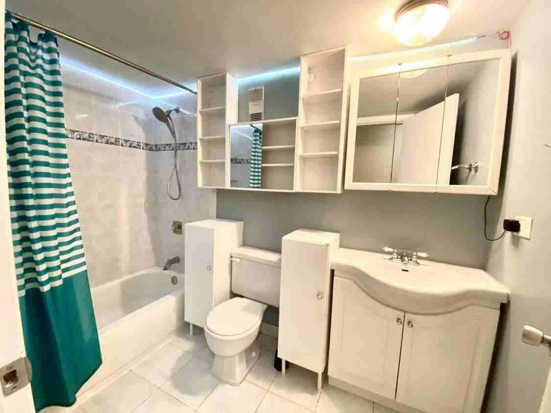 2509 Spring St Apt 3204 - Photo 3 of 17