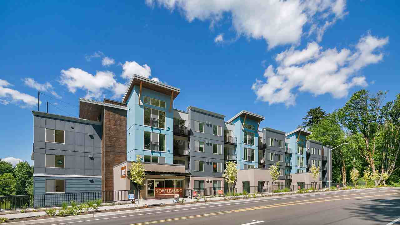 Notch - Photo 4 of 46