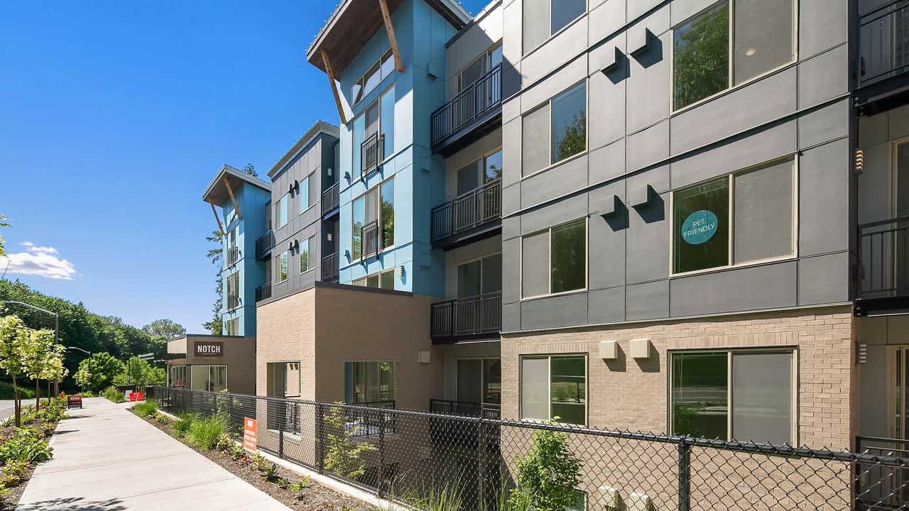 Notch - Photo 5 of 46