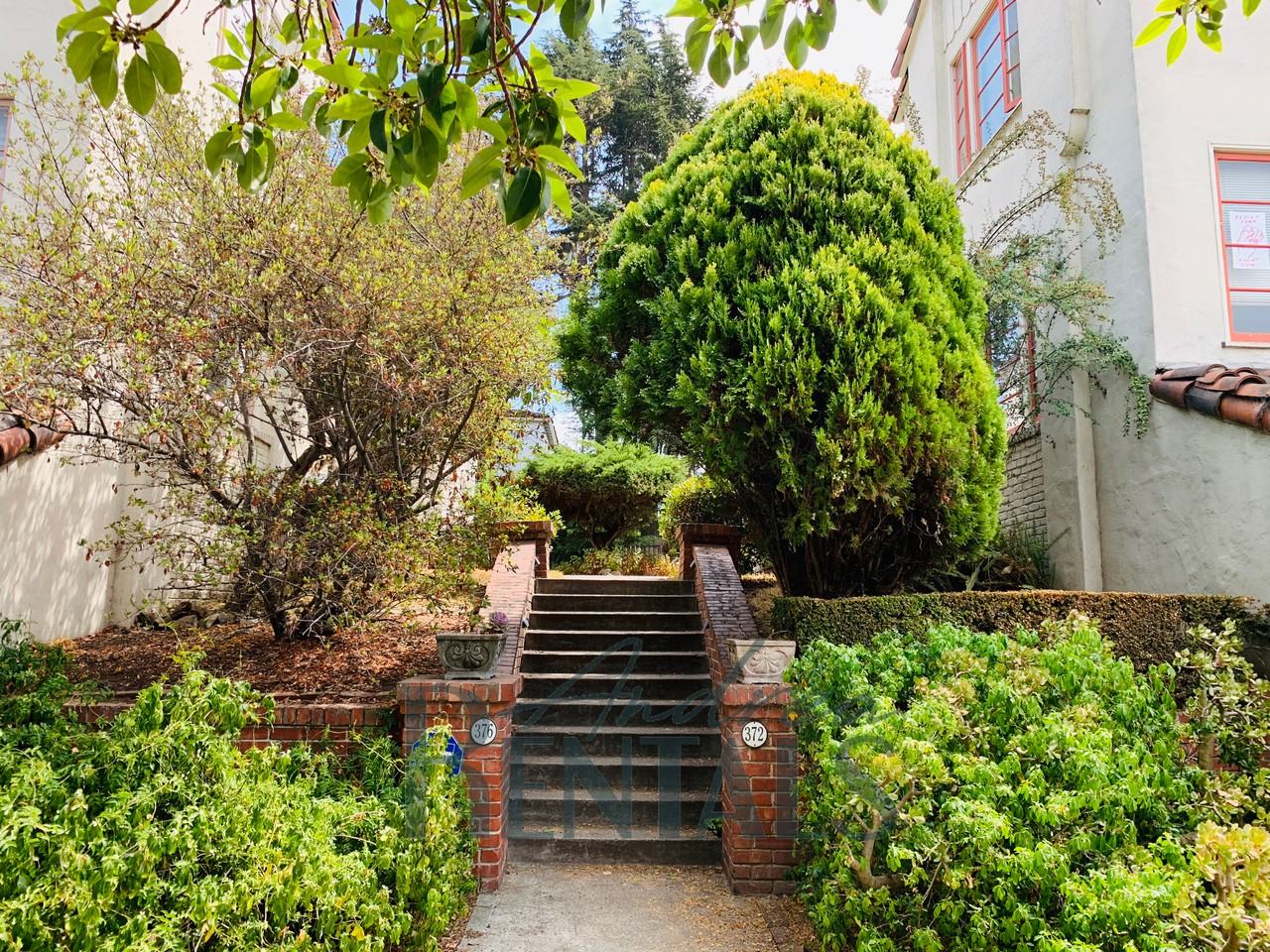 376 Orange Street #4 - Photo 3 of 42