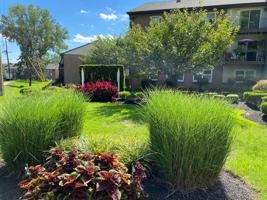 featured image of 292 Piermont Ave