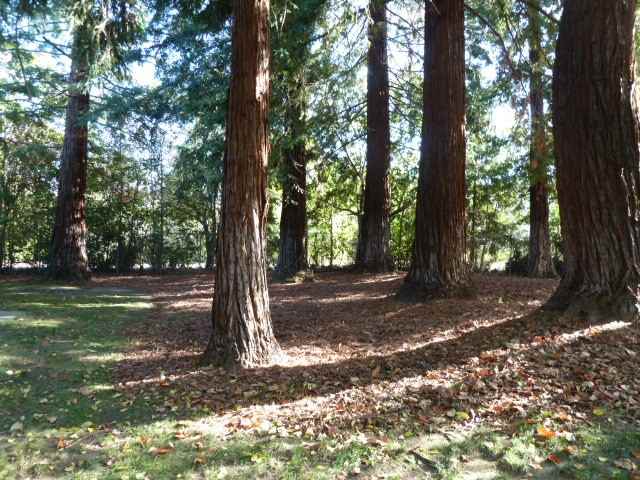 1480 Carnot Dr - Photo 2 of 27