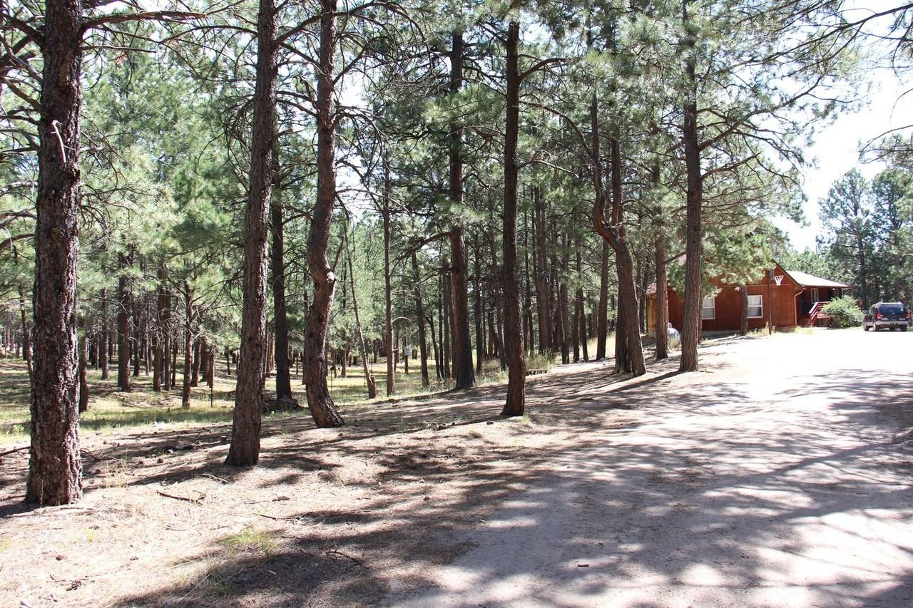 13805 Rankin Rd - Photo 3 of 38