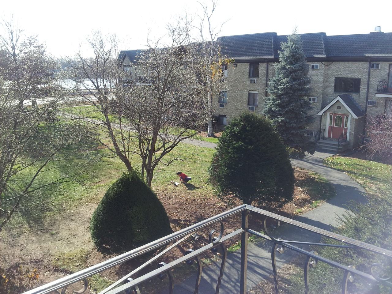 297 Pawtucket Blvd - Photo 2 of 13