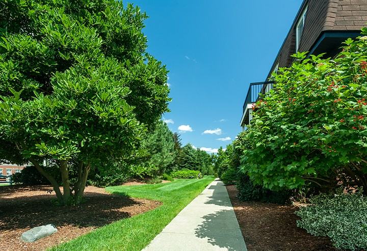 Village Green - Photo 2 of 18