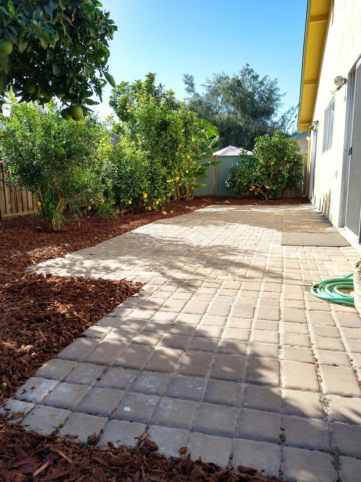 32545 Lake Barlee Ln - Photo 2 of 5