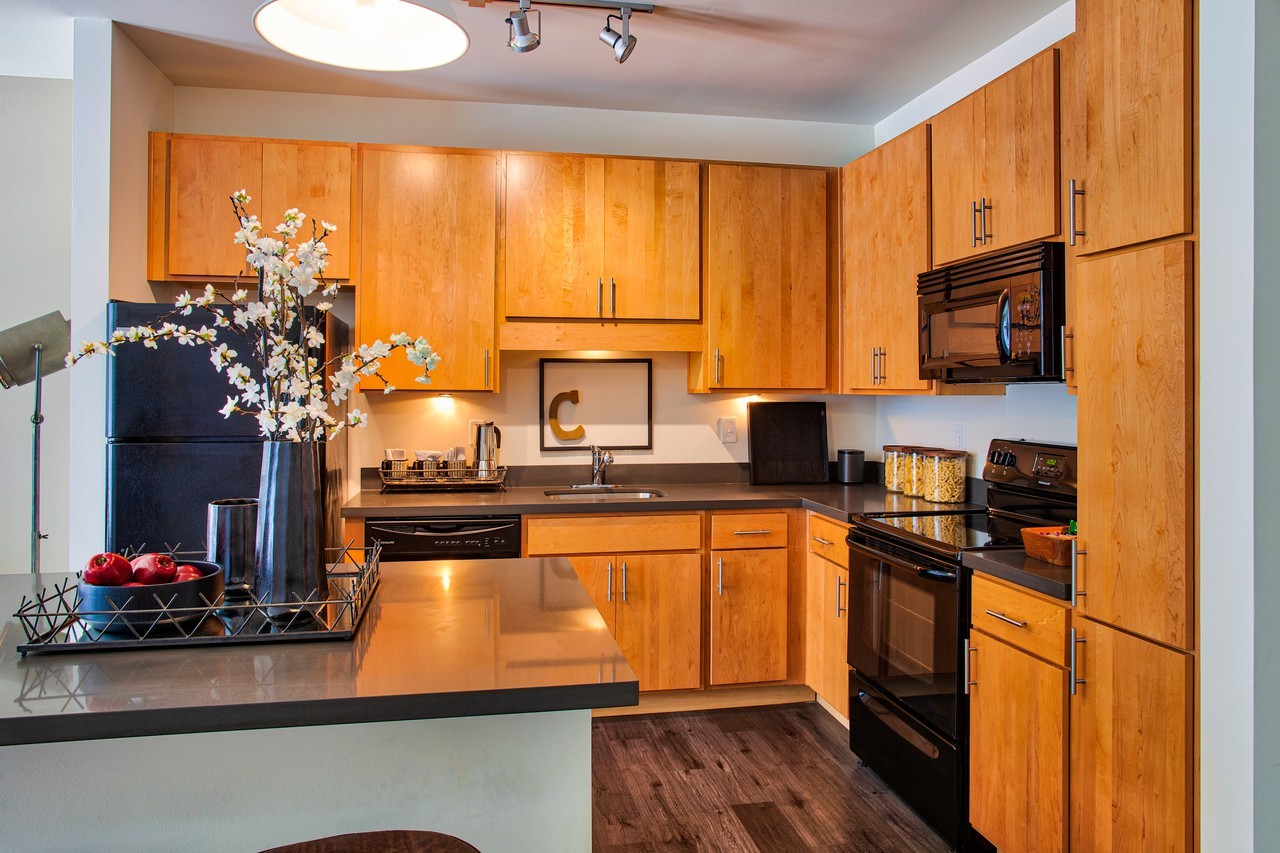 Circa Apartments - Photo 2 of 25