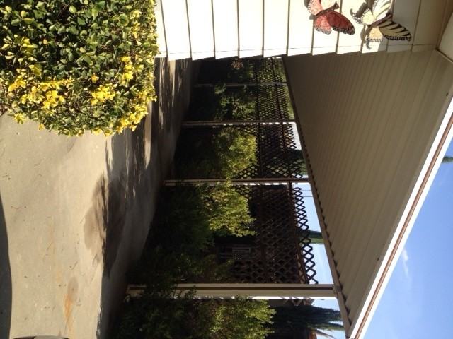 26044 Kentia Palm Dr - Photo 2 of 7