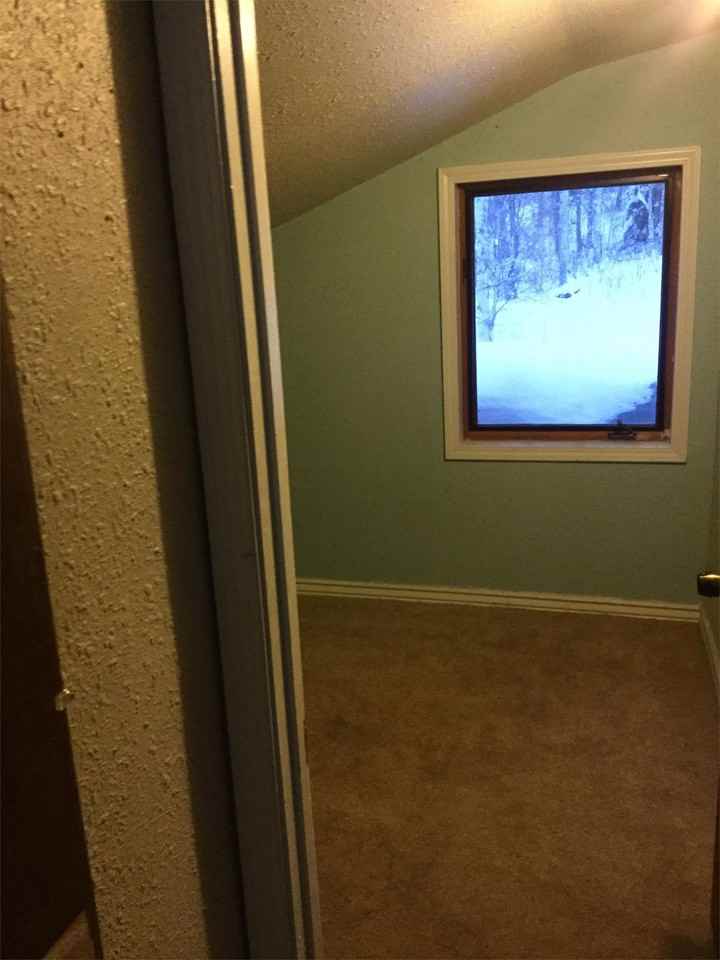 3274 Helen Pl - Photo 3 of 7