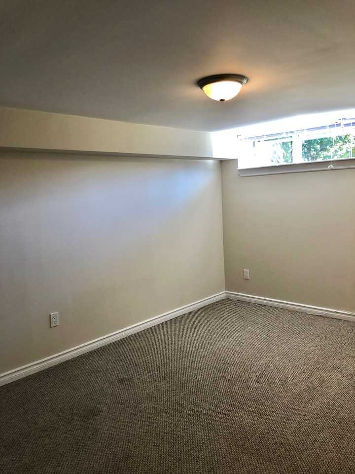 357 Dovedale Drive Lower - Photo 3 of 6