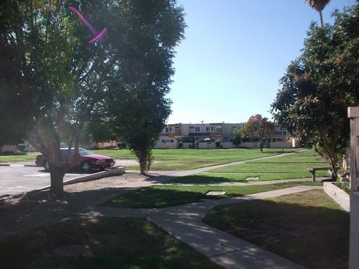 2197 Luz Ave - Photo 3 of 15