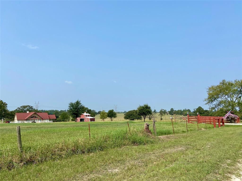 5163 County Road 217 - Photo 2 of 18