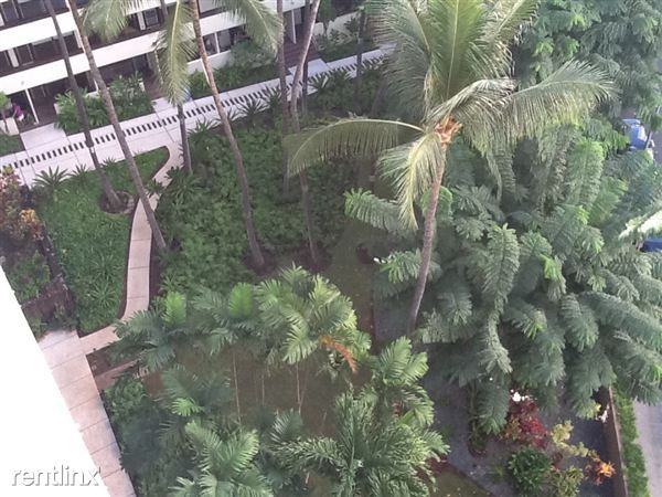 Kalia - Photo 2 of 9