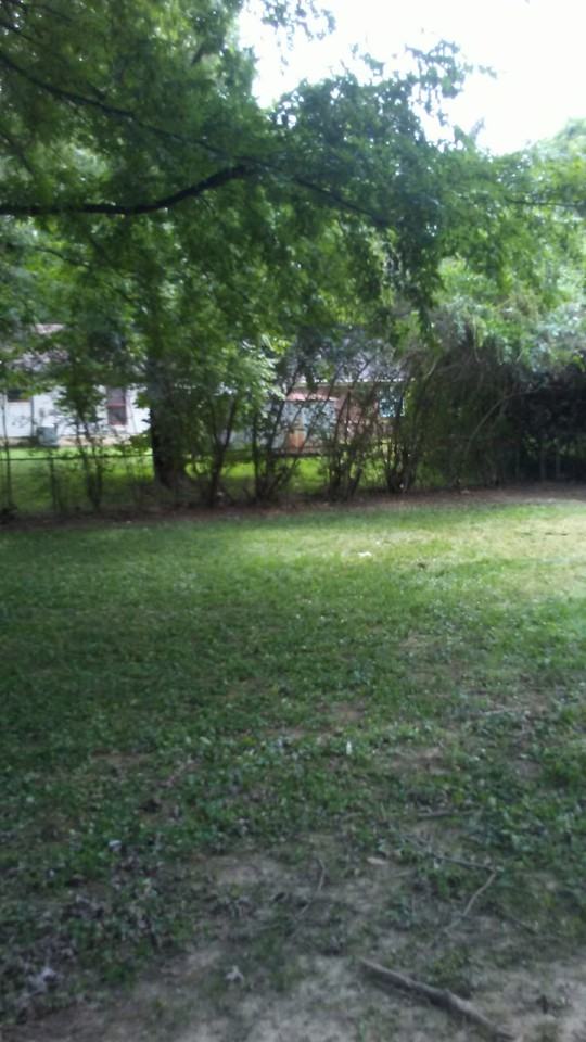 5268 Braden Dr - Photo 7 of 8