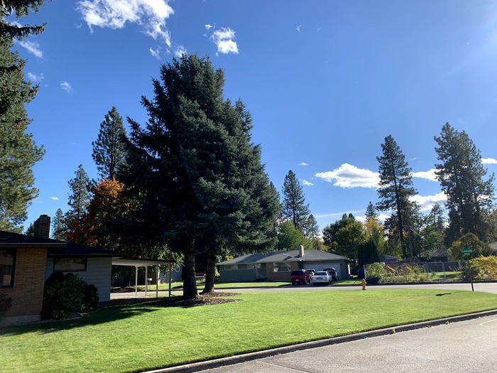 7918 N Hughes Dr - Photo 2 of 50