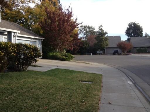 2614 Concord Ave - Photo 3 of 8