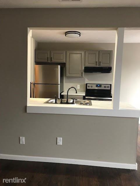 1300 Downing St - Photo 3 of 18