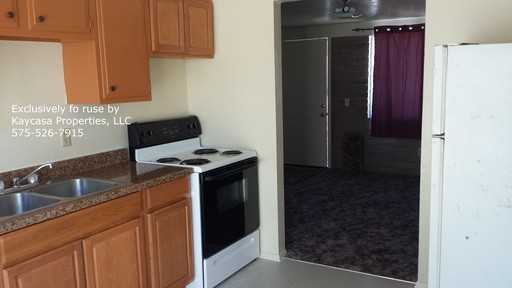 3313 Conlee Ln - Photo 2 of 7
