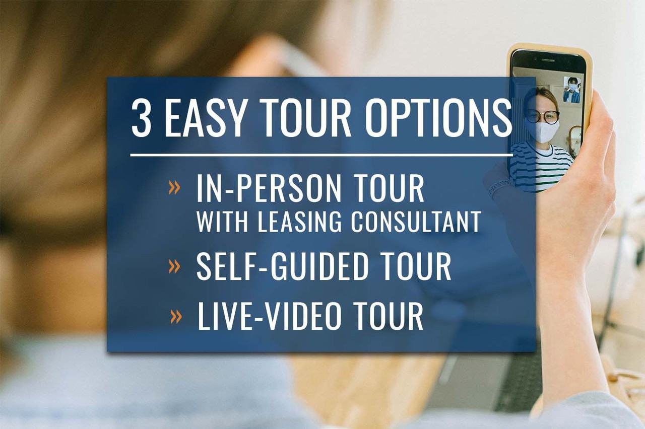 IMT Ballantyne - Photo 7 of 40