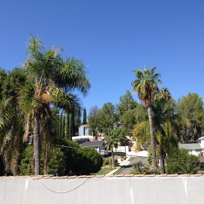 5358 Baza Avenue - Photo 6 of 54