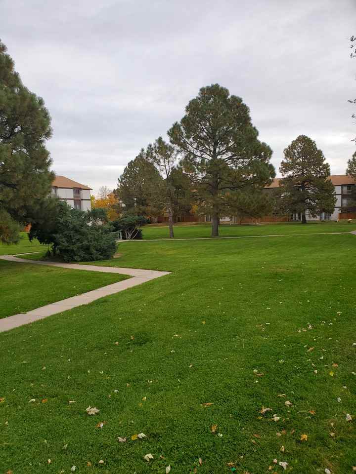 Pine Creek Apartments 699 South Dayton Street, Denver, CO 80247 Zumper