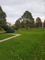Pine Creek - Photo 1 of 1