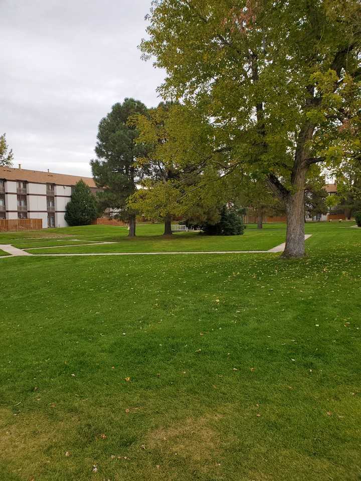 Pine Creek - Photo 3 of 4