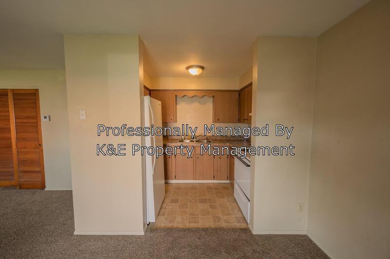 1025 E Pearl St - Photo 2 of 13