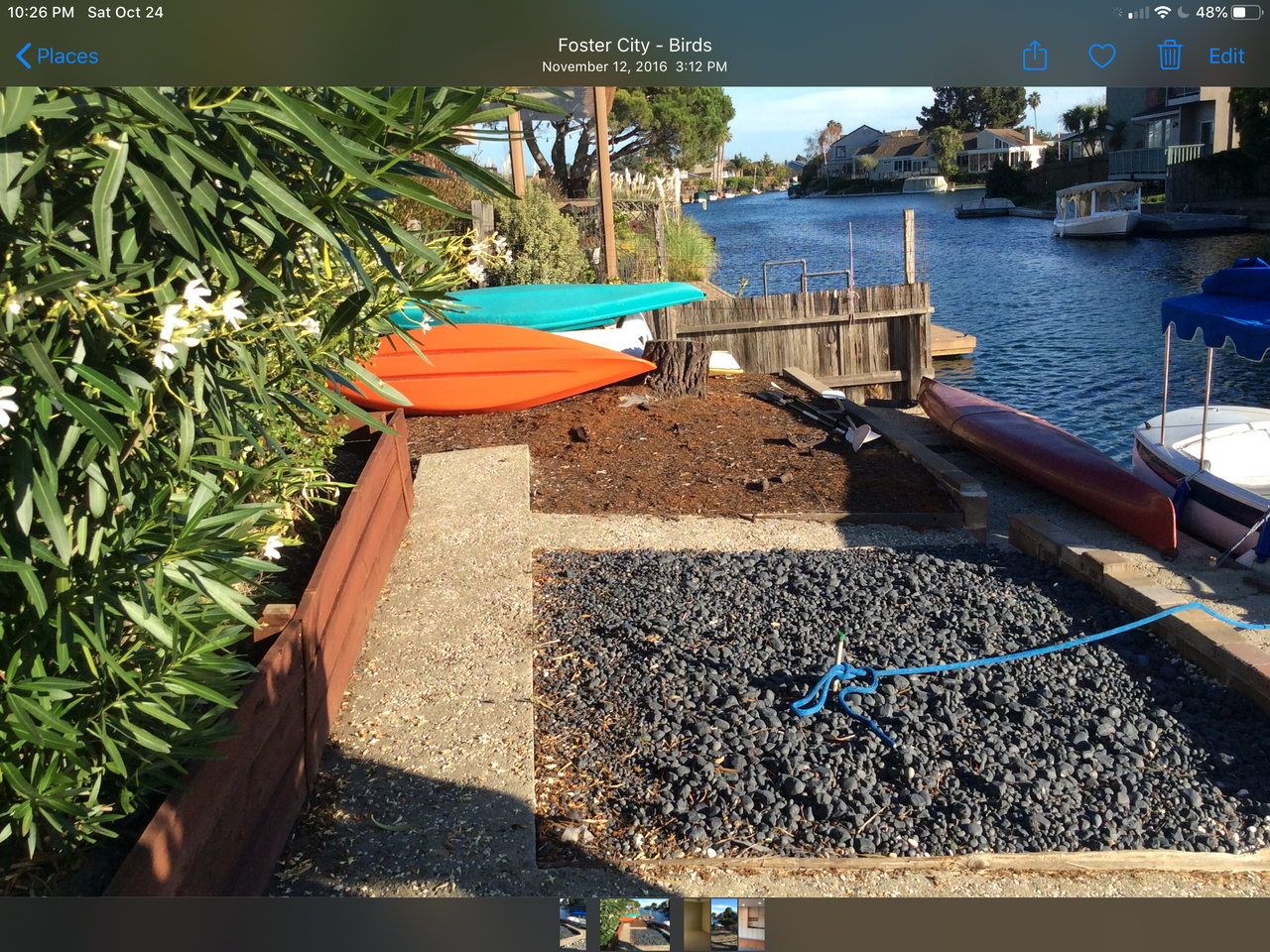 786 Widgeon Street - Photo 2 of 10