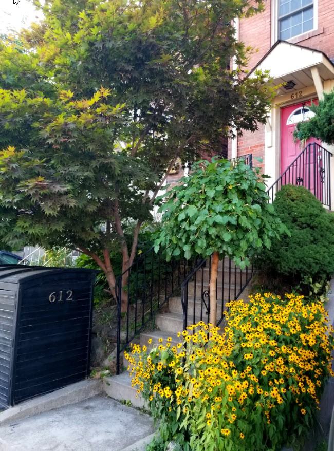 612 Davenport Road - Photo 2 of 29