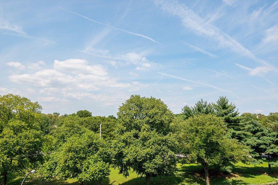 3361 Fenton Ave #1 - Photo 3 of 10