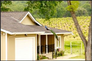 11125 Courier Rd #A - Photo 1 of 1