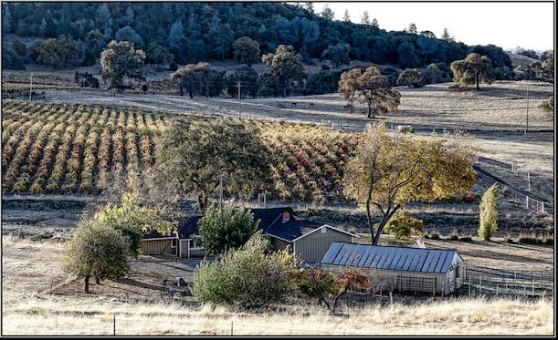 11125 Courier Rd #A - Photo 2 of 27