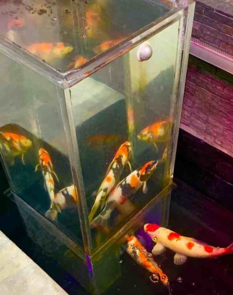 777 6th Ave - Photo 3 of 16