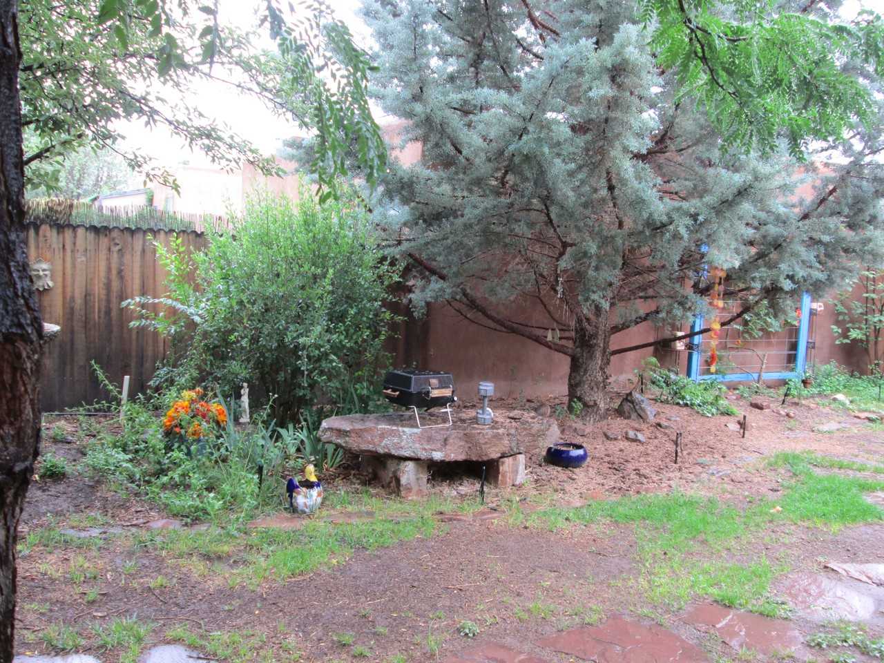 937 Camino Oraibi - Photo 3 of 13