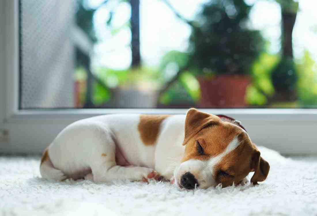 Gala at Texas Parkway Apartments 3102 Texas Pkwy, Missouri City, TX